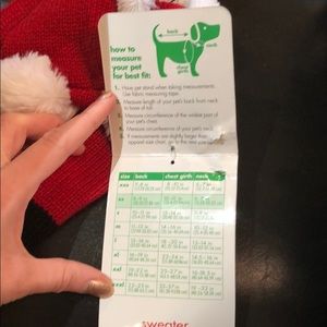 Accessories - Santa dog costume Accessories - Santa dog costume